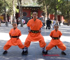 Orange Shaolin Monk Uniform Kung Fu Suit Tai Chi Martial Art Clothes Set Uniform