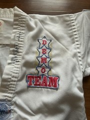 Vintage Sun Choi Brothers Taekwondo Top