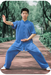 Kun Master Summer Kung Fu Dress Martial Art Uniform Tai Chi Clothes Wushu