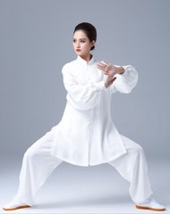 Summer Tai Chi Clothes Wrinkle Free Wushu Clothing Kung Fu Dress Martial Art