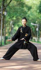 Tai Chi Uniforms Kung Fu Clothing Martial Arts Clothes Wushu Embroidery