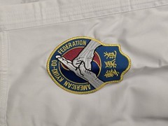 Tiger Claw TC 2000 Student Martial Arts Uniform With Embroidered Patches Size 00