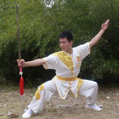 Silk Martial Arts Kung Fu Uniform Wushu Changquan Tai Chi Suit Dragon Embroidery