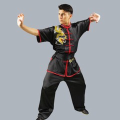 Silk Kung Fu Tai Chi Uniform Martial Arts Changquan Suit Dragon Embroidery Hot