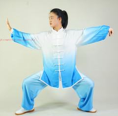 Tai Chi Clothing Set Unisex Kung Fu Wing Chun Uniform Martial Arts practice Sets