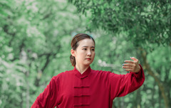 Kun Master Tai Chi Clothes Kung Fu Dress Wushu Clothing Martial Art Uniform