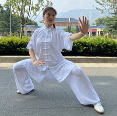 Unisex Summer Cotton Tai chi Uniforms Kung fu Martial arts Wushu Wing Chun Suit