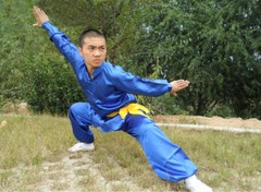 Kung Fu Tai Chi Uniform Martial Arts Suit Outfit Wushu Changquan Suit Clothes