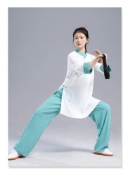 Summer Tai Chi Clothes Wushu Clothing Kung Fu Dress Martial Art Uniform