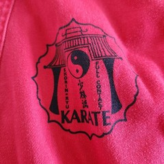 Adult Red Pullover Karate Gi Top Family Karate Club Graphic Bold Look