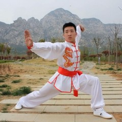 Chinese Kung Fu Tai Chi Silk Uniform Martial Arts Wushu Suit Dragon Embroidery