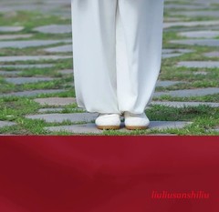 Tai Chi Uniforms Kung Fu Clothing Men Martial Arts Clothes Wu Shu Exercise White