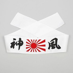 Japanese Kamikaze Militaria Headband with Original Case Rising Sun Flag Karate