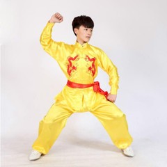Silk Martial Arts Kung Fu Uniform Tai Chi Suit Wushu Clothes Dragon Embroidery