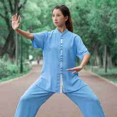 Short Sleeve Kung Fu Shirts Wing Chun Sport Martial Arts Taichi Uniform Ice Silk