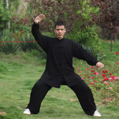Unisex Cotton Tai chi Uniforms Kung fu Suit Wing Chun Martial arts Wushu Clothes