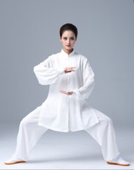 Summer Tai Chi Clothes Wrinkle Free Wushu Clothing Kung Fu Dress Martial Art