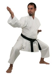 Zen Athletics Blue Logo 11oz Light-Heavyweight Karate Uniform