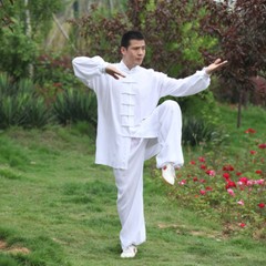 Chinese Kung Fu Tai Chi Uniform Martial Arts Shaolin Suit Wushu Clothes Outfit
