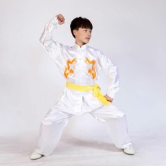Silk Martial Arts Kung Fu Uniform Tai Chi Suit Wushu Clothes Dragon Embroidery
