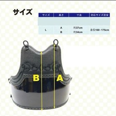 Japanese Kendo Do Chest Guard Armor Torso Red Base Kabuto Ornament Kids