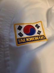 Vintage The World Tae kwondo Karate Uniform Top Martial Arts Size 3/170