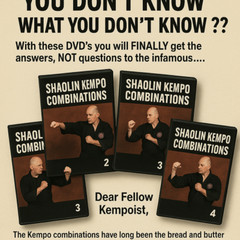 🔴 Shaolin Kempo Karate Combinations 1- 90 – Beyond Straight Punches – Brassard