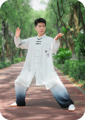 Kun Master Tai Chi Clothes Kung Fu Dress Martial Art Uniform Wushu Clothing