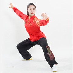 Milk Silk Kung Fu Taichi Uniform Martial Arts Suit Changquan Outfit Lucky Clouds