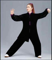 Winter Tai Chi Clothes Thick Kung Fu Dress Wushu Martial Art Uniform Long Sleeve