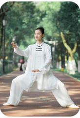 Kun Master Tai Chi Clothes Kung Fu Dress Martial Art Uniform Wushu Clothing