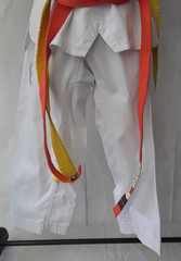 Martial Arts Best Sang Moo Sa Tae Kwon Do Size 1 Uniform Karate Tiger Claw Demo