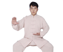 Soft Cotton Martial arts Wing Chun Clothes Tai chi Uniform Kung fu Suit Summer