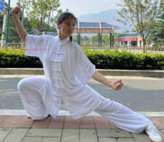 Unisex Summer Cotton Tai chi Uniforms Kung fu Martial arts Wushu Wing Chun Suit