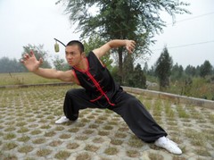Silk Martial Arts Uniform Kung Fu Tai Chi Suit Wing Chun Nanquan Suit Sleeveless