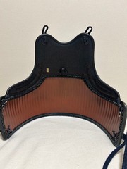 Japanese Kendo Do Chest Guard Armor Torso Black Ryusen Stone Eye Resin