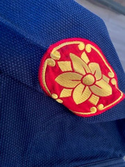 OSS- OSHINOBU-JIU JITSO ONI * SIZE M 1 – Embroidered in Navy, Yellow Gold & Red!