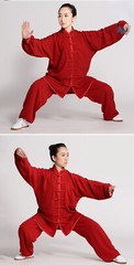 Kung Fu Tai Chi Clothing Martial Arts Clothes Wushu Uniform Wing ChunTaiji