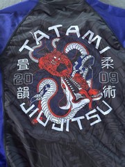 Tatami Jiu Jitsu Rashguard and Shorts Set BJJ Large / xL. MMA Training