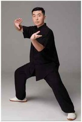 Short Sleeve Kung Fu Shirts Vintage Sport Tops Martial Arts Tai chi Uniform