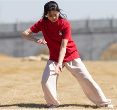 Summer Breathable Short Sleeve Kung Fu Shirts Wing Chun Training Vintage Sport