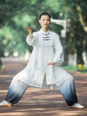 Kun Master Tai Chi Clothes Kung Fu Dress Martial Art Uniform Wushu Clothing