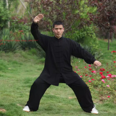 Summer Cotton Tai Chi Uniforms Kung Fu Suit Martial Arts Wushu Wing Chun Clothes