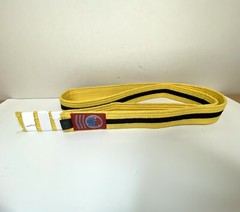 Pro Force Karate Belts Set of 4. Martial Arts Double Wrapped Reinforced