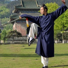 Wudang Taoist Robe Kung Fu Martial Arts Wing Chun Tai Chi Linen Uniform Unisex