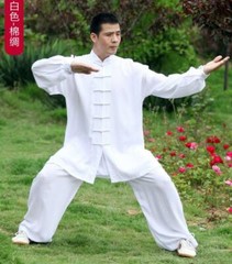 Tai chi Uniform Kung fu Suit Martial arts Wing Chun Clothes 5 Colors Soft Cotton