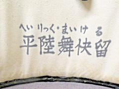 Nippon Ken-Po Breastplate or „Munedate” Armor Also Used For Kendo w/ Bag