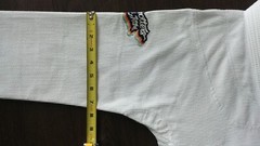 BJJ Globetrotters USA camp competition jiu-jitsu gi A1 A1F IBJJF legal