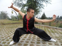 Silk Martial Arts Uniform Kung Fu Tai Chi Suit Wing Chun Nanquan Suit Sleeveless