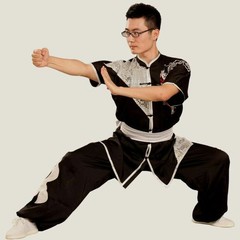 Martial Arts Suit Silk Kung Fu Tai Chi Uniform Wushu Wing Chun Shao Lin Clothes